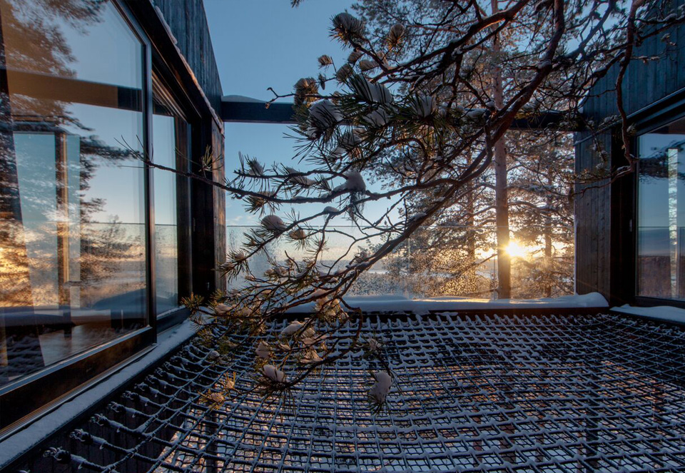 sunset at tree hotel