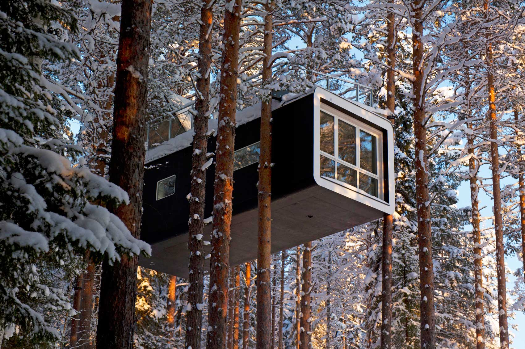 snow room in trees at tree hotel sweden