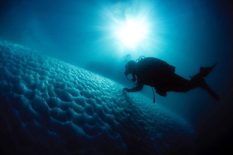 Ice diving at the arctic circle
