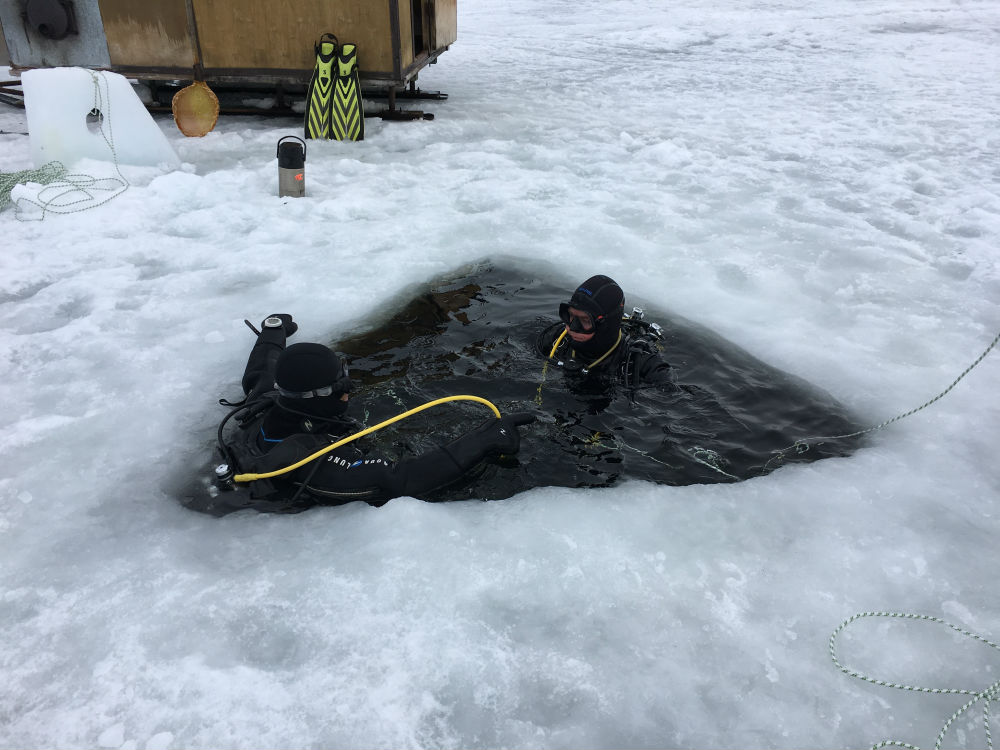 arctic scuba diving