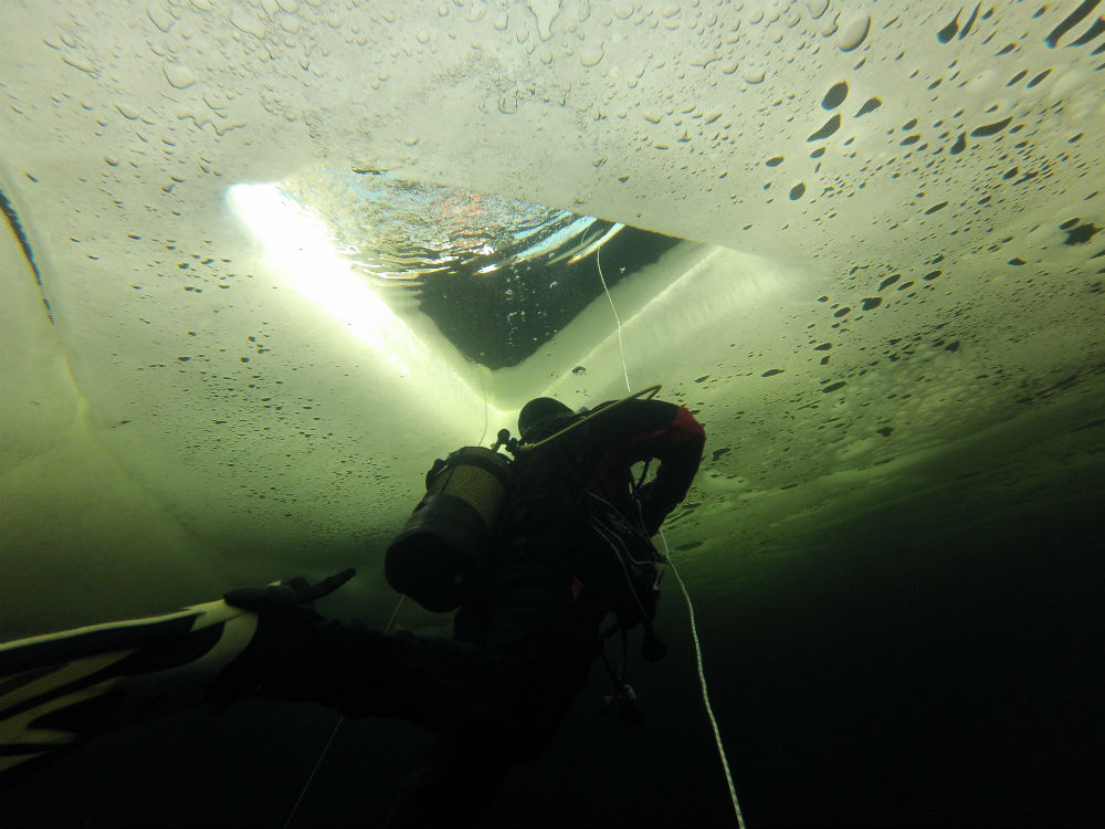diving under ice in the arctic