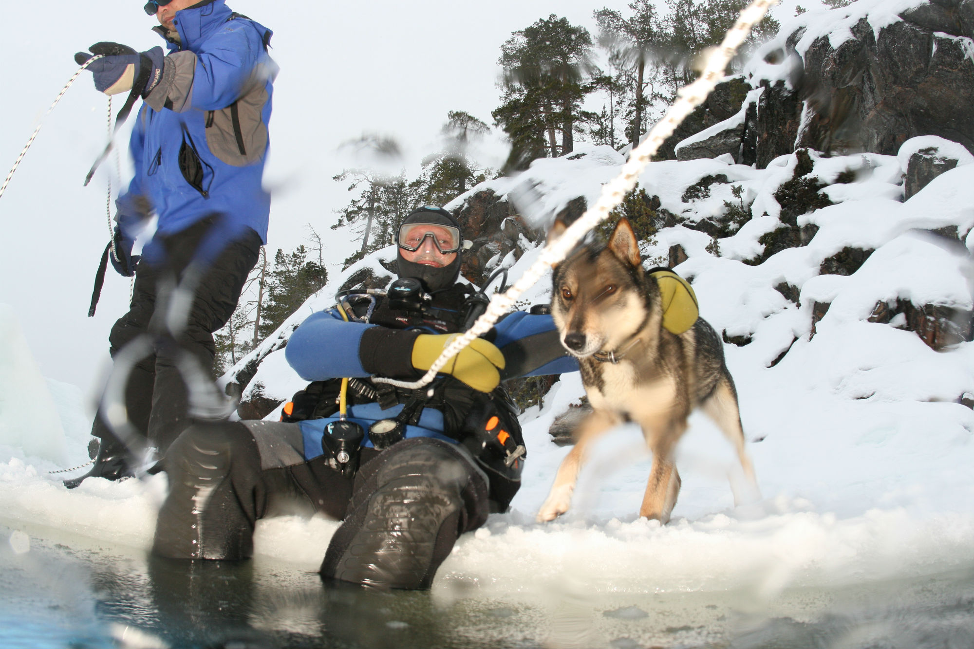 Arctic scuba diving in the White Sea