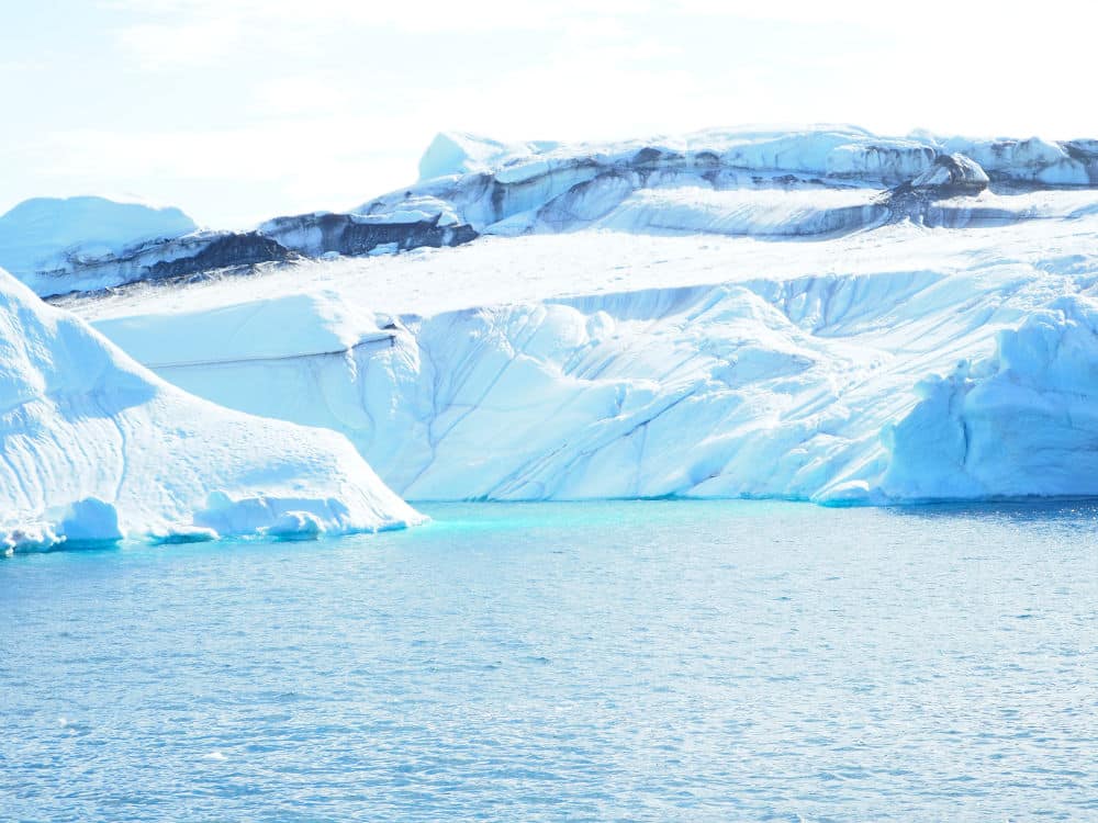 icebergs