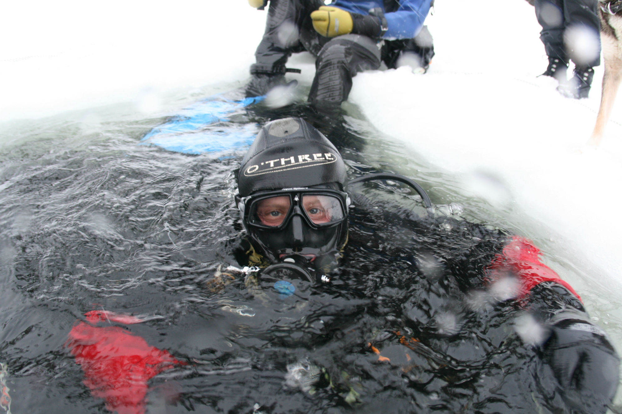 Arctic scuba diving in the White Sea