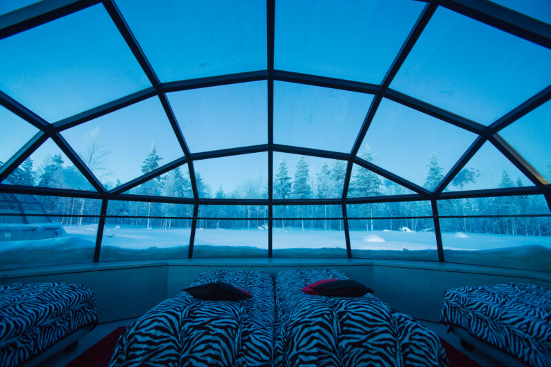 Glass dome igloo room with multiple beds, looking out to a snowy forest
