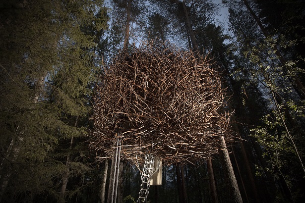 Birdsnest at tree hotel