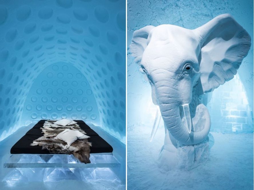 Icehotel elephant in room