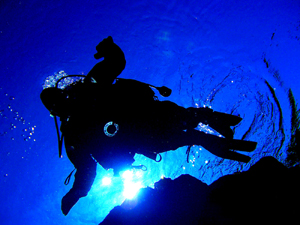 Scuba dive in the Arctic