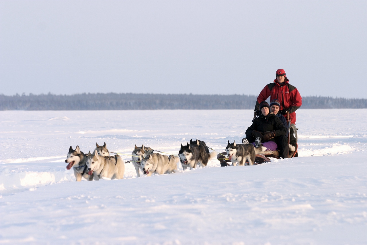 Adventure holidays husky safari