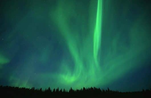 northern light above the trees