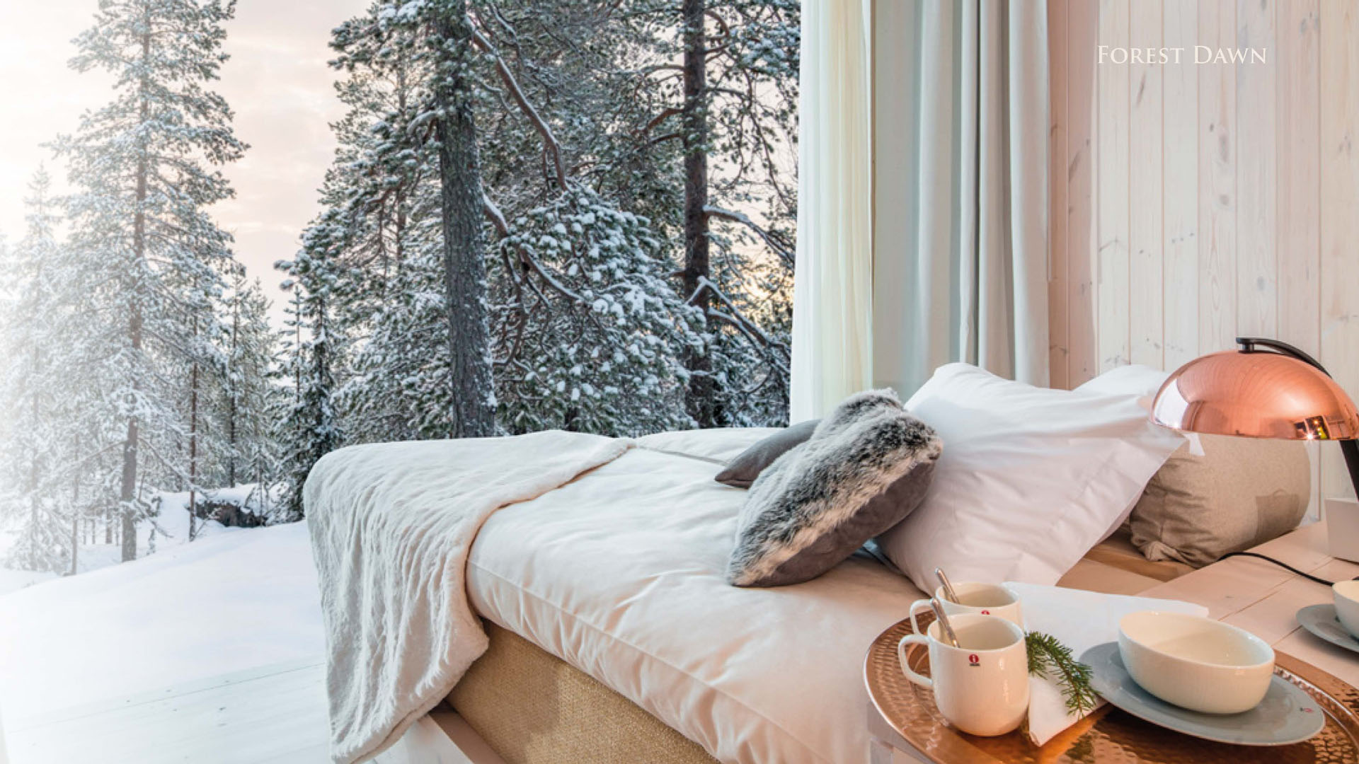 Tree House Hotel