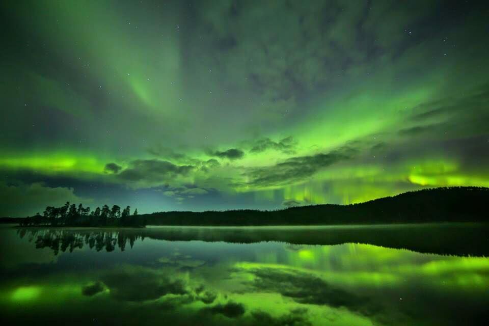 Aurora in Autumn