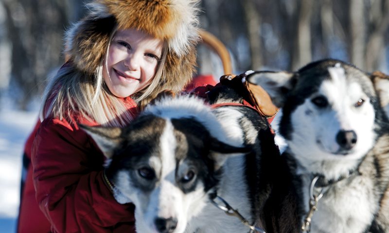 huskies