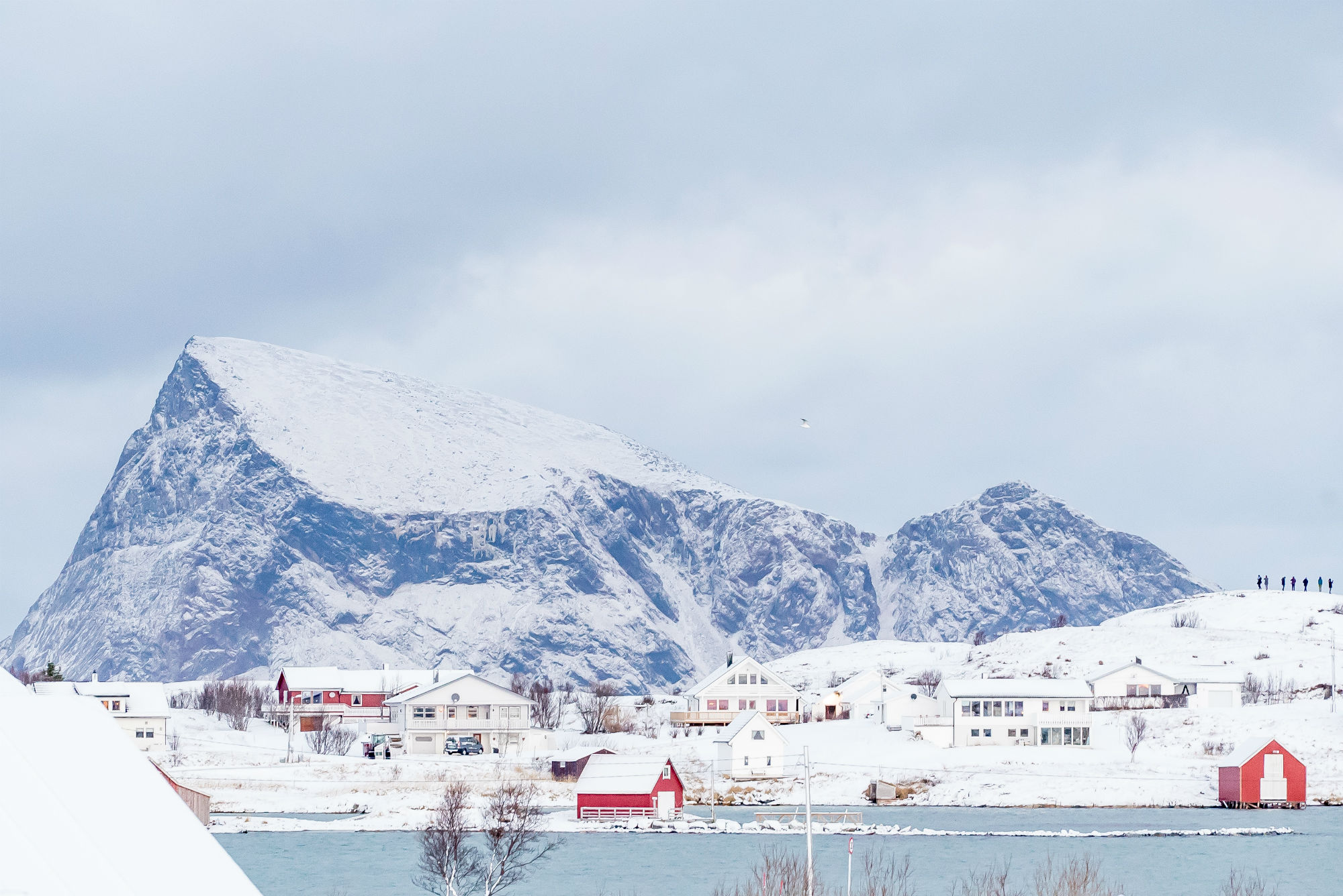 snowy landscape with mountains