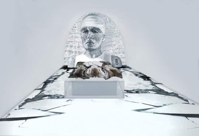 Art suite ice woman ice room concept