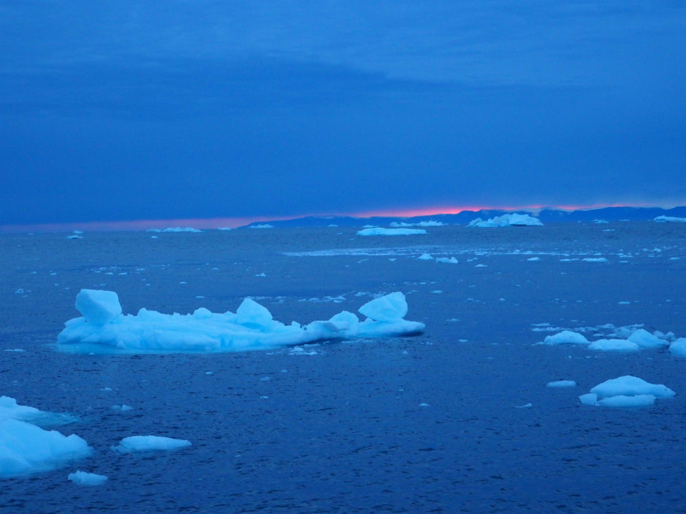 Icebergs disko bay