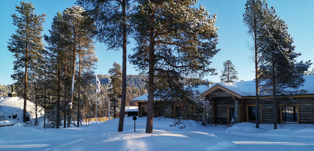 large log cabin building in the snow with tall trees surrounding