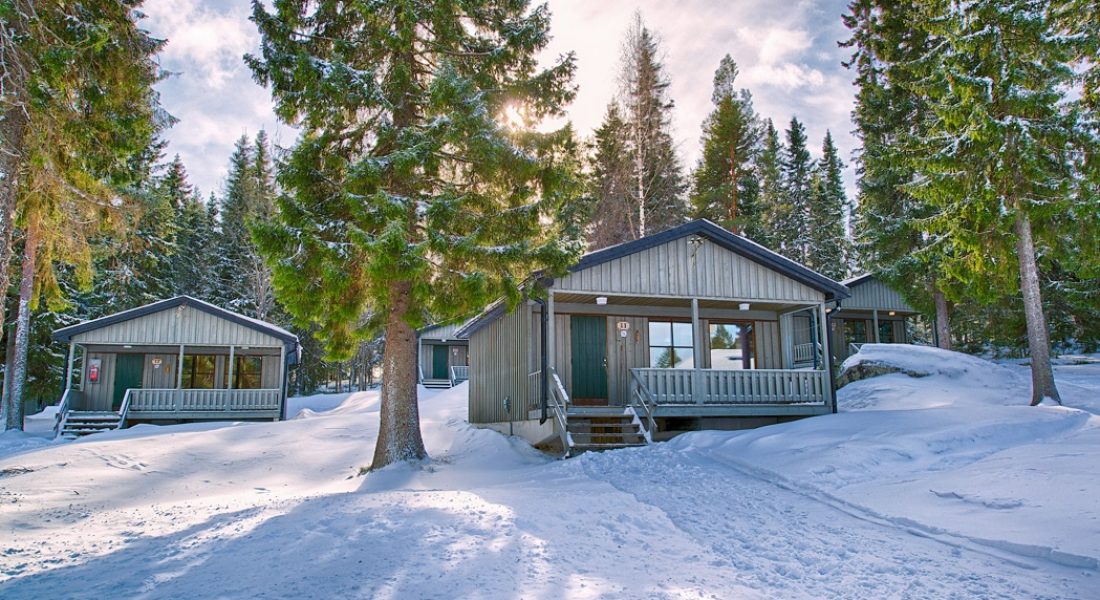 brandon lodge cabins