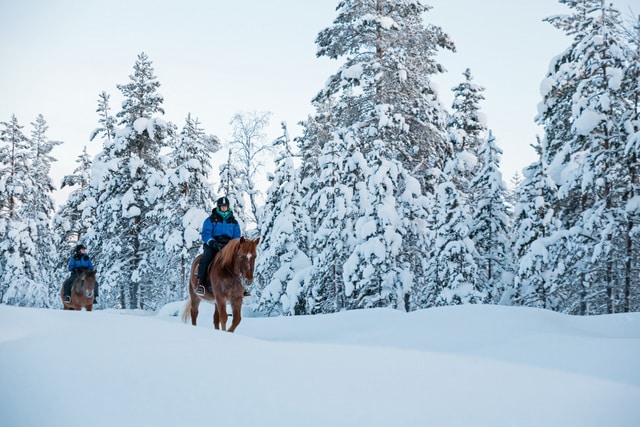 Horse Activities
