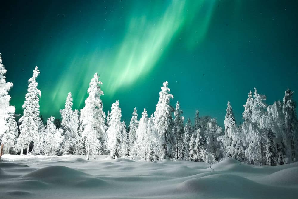 Northern Lights