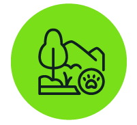 Wildlife - Roundel Icon