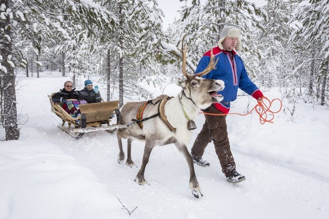 Reindeer Safari with Arctic Direct