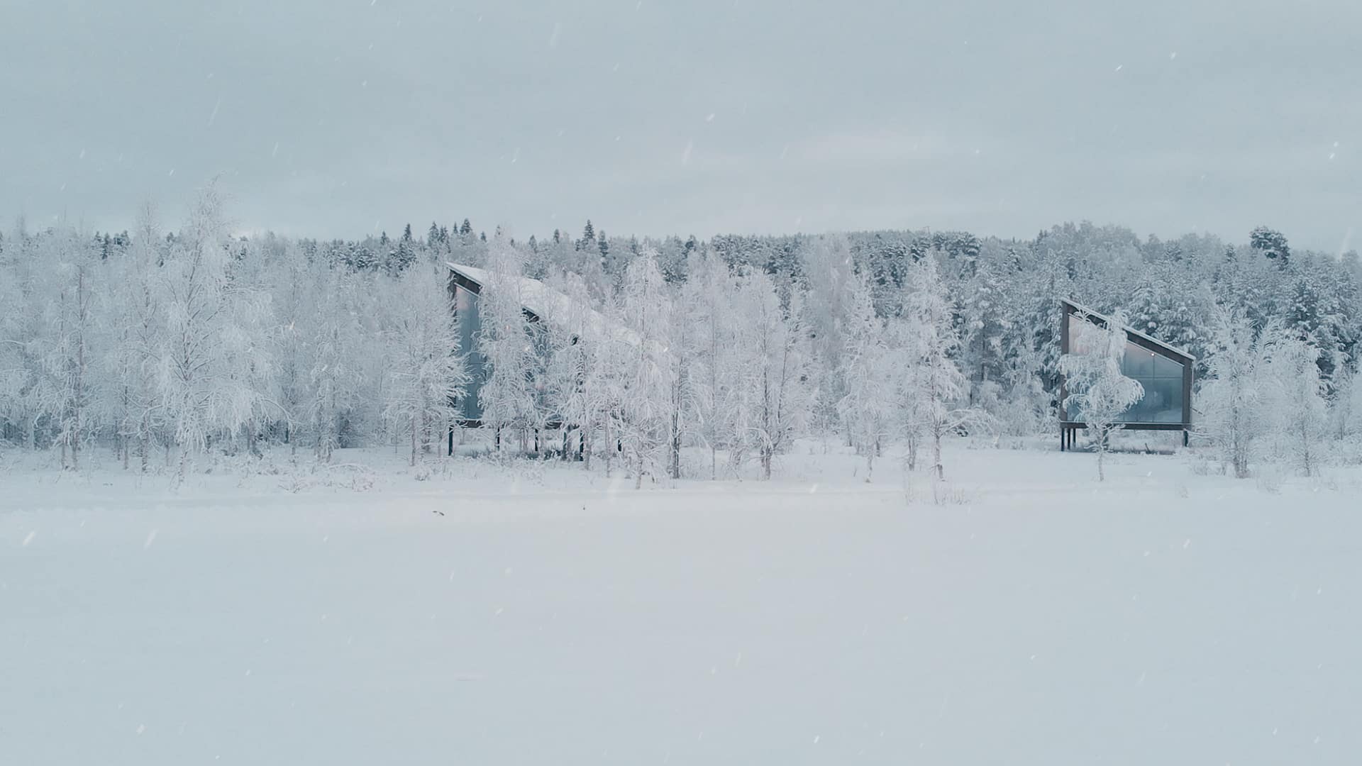 cabins in the woods