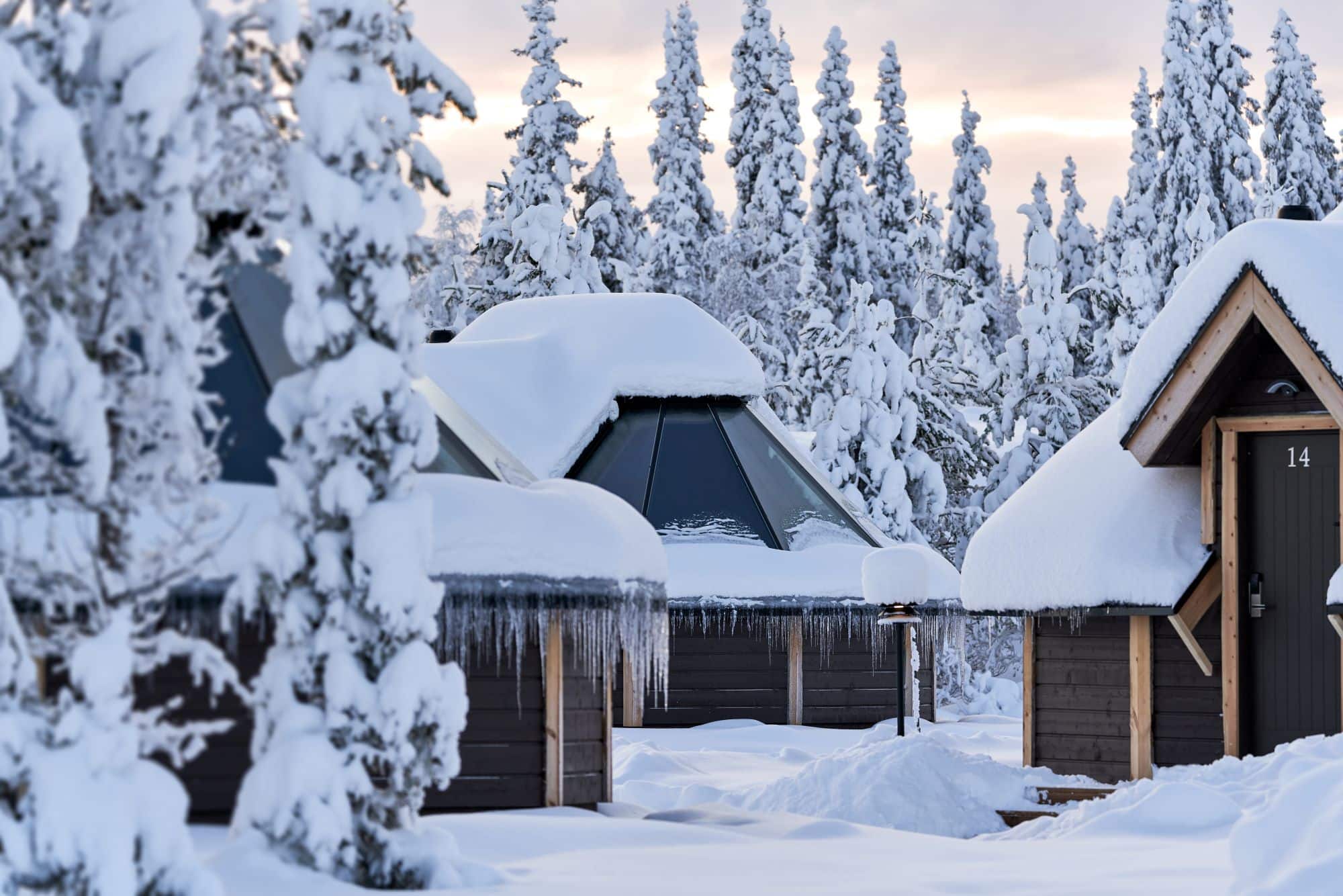 aurora cabins inbetween the snowy trees