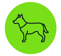 Dog - Roundel Icon
