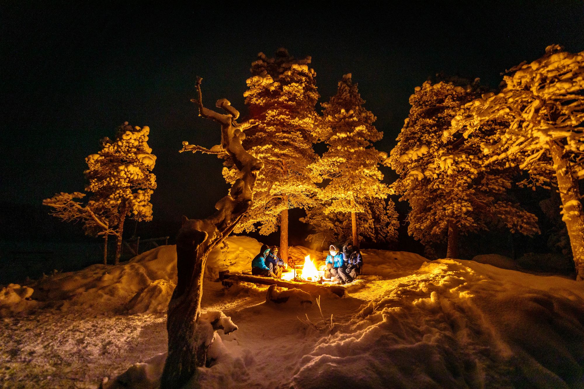 people sat around campfire in the forest
