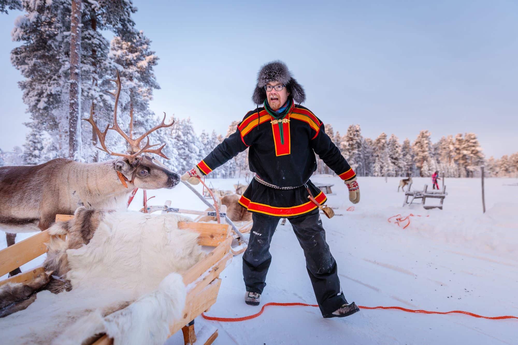 sami man with reindeer