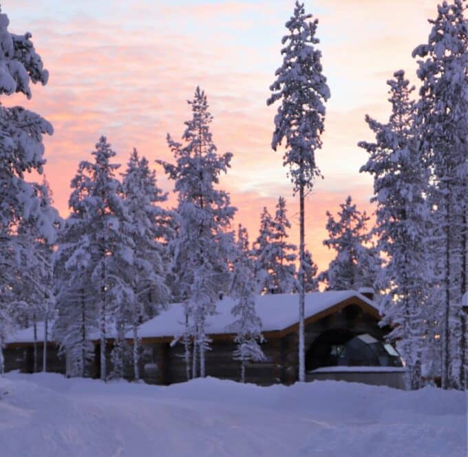 kelo igloo between the trees