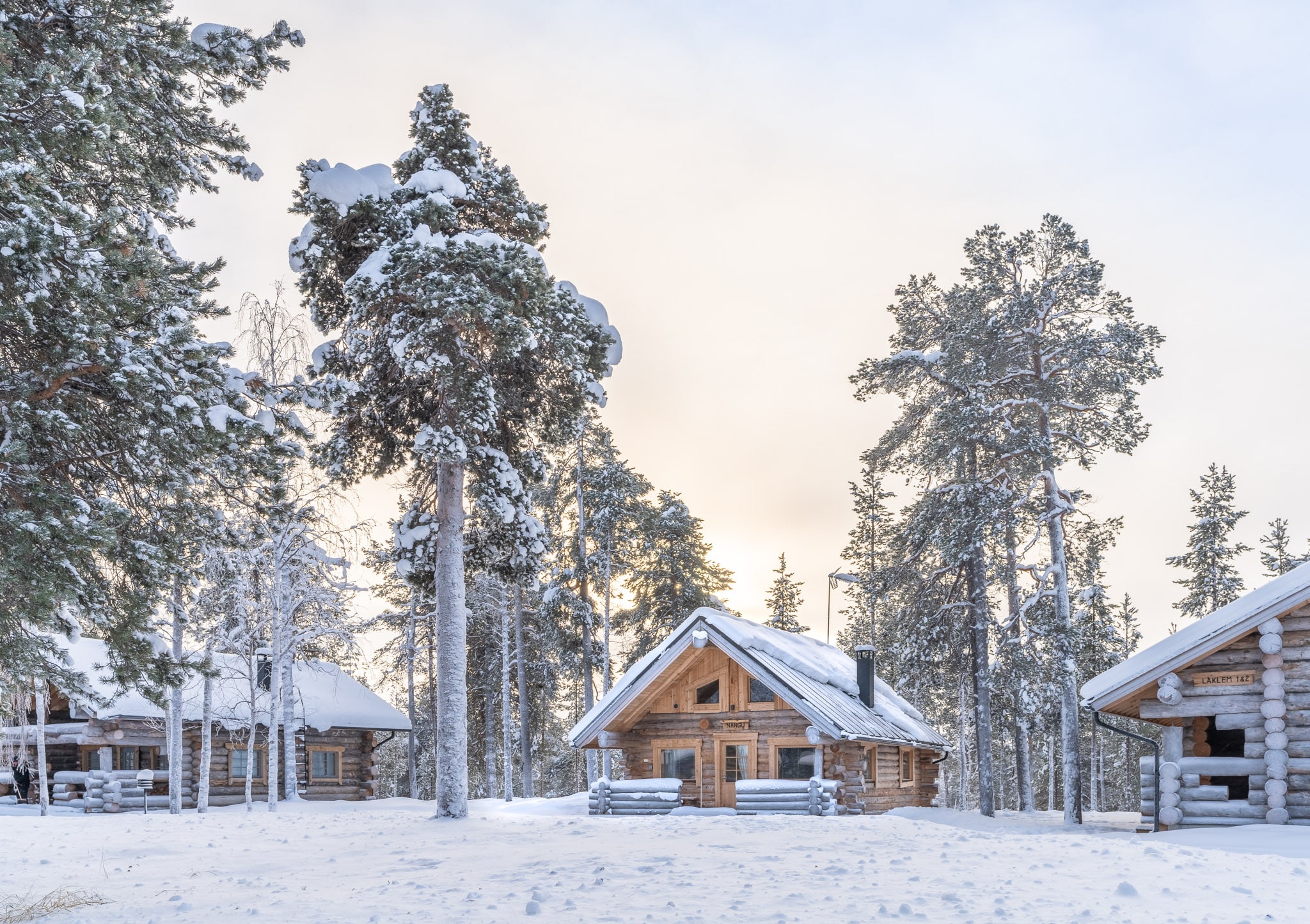 log cabins in a row with tall trees inbetween