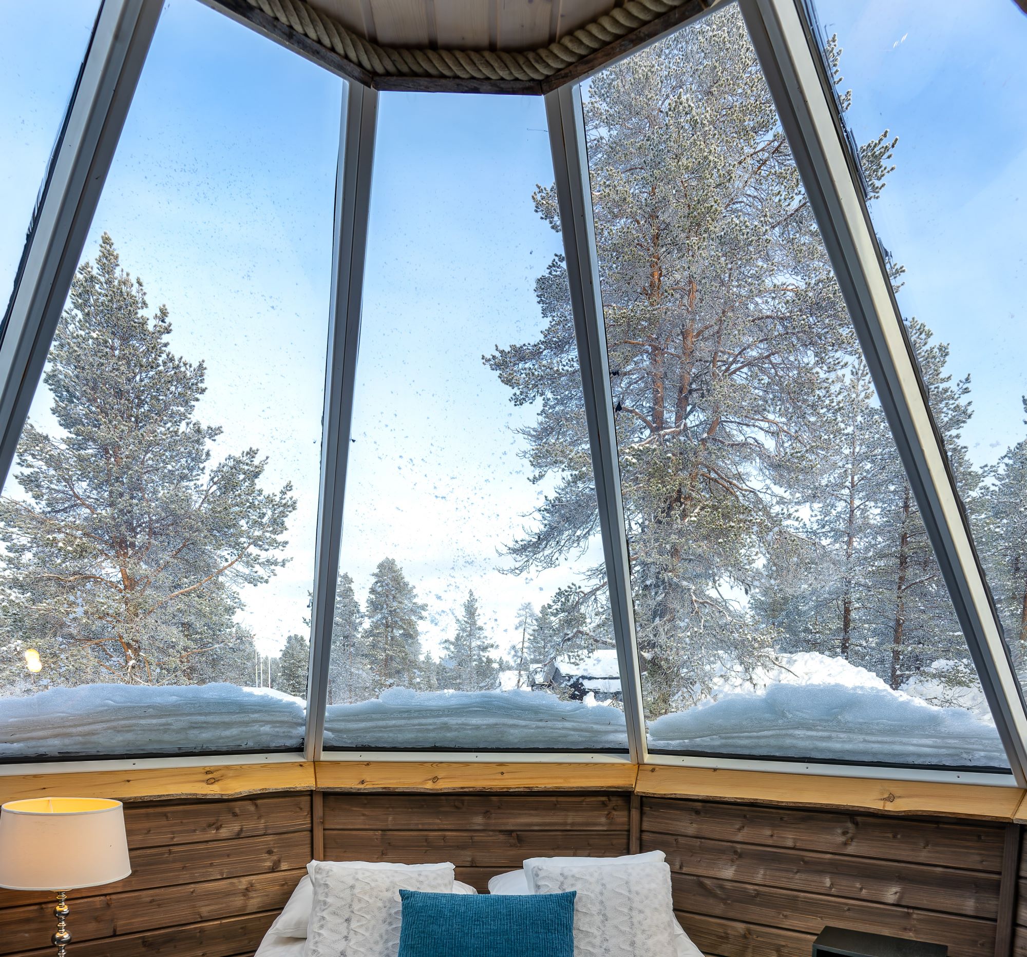 view out of glass roof with trees