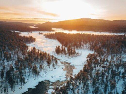 drone view of forest with river running through