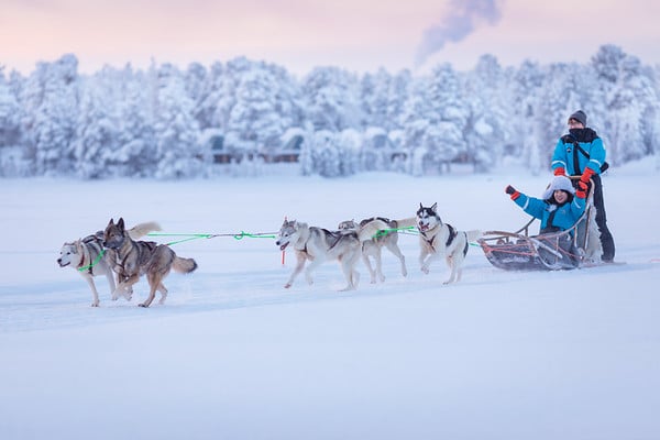 dogsledding