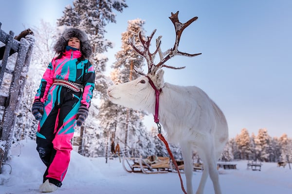 Reindeer and Sami