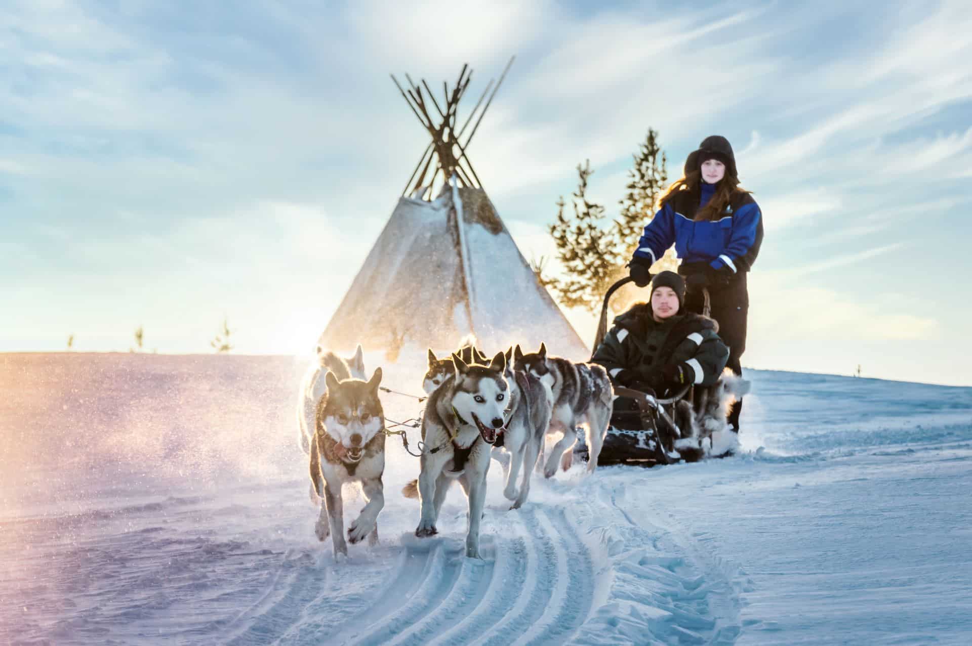 dogsledding