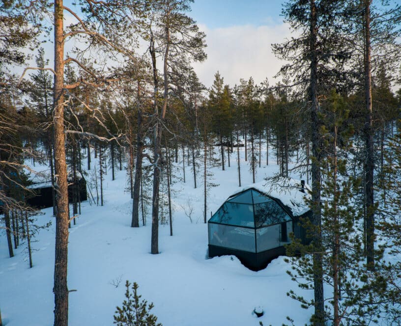 glass igloos in snow covered forest