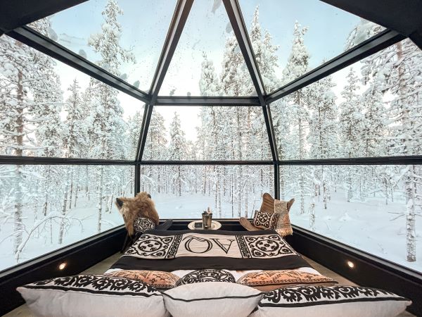 glass igloo with view of snowy forest