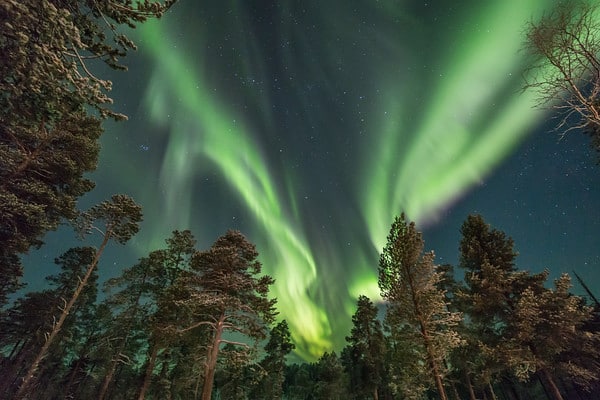 Northern lights