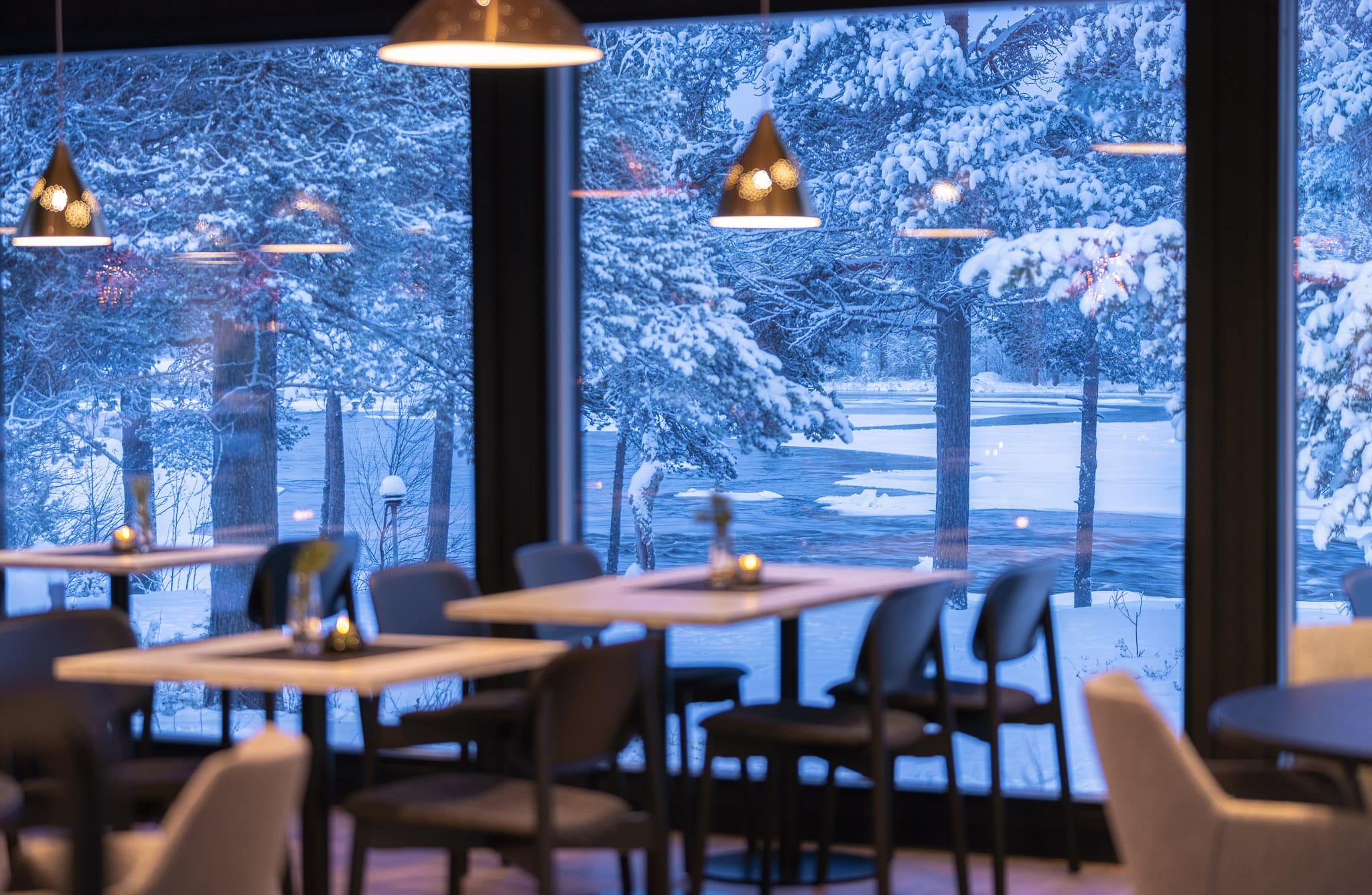 restaurant with forest view out the window