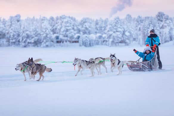 dogsledding