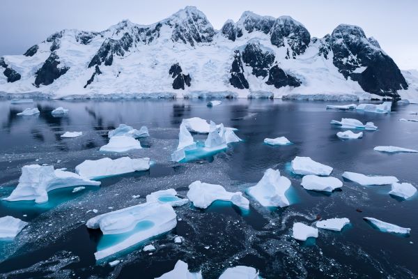 icebergs in antarctica