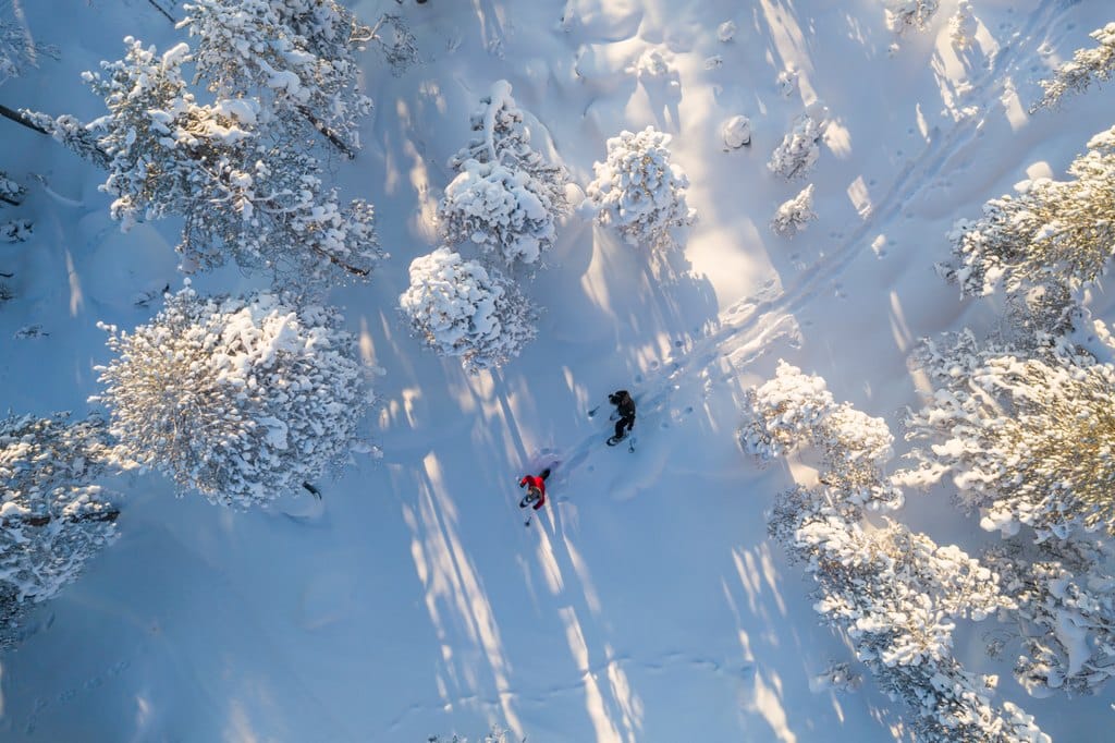 two people snowshoeing in snowy forest