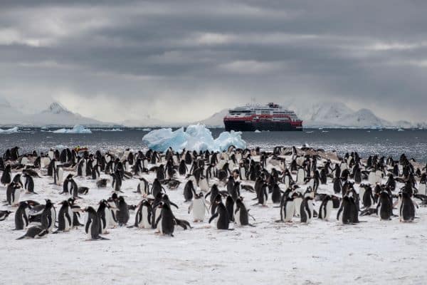penguins in antarctica