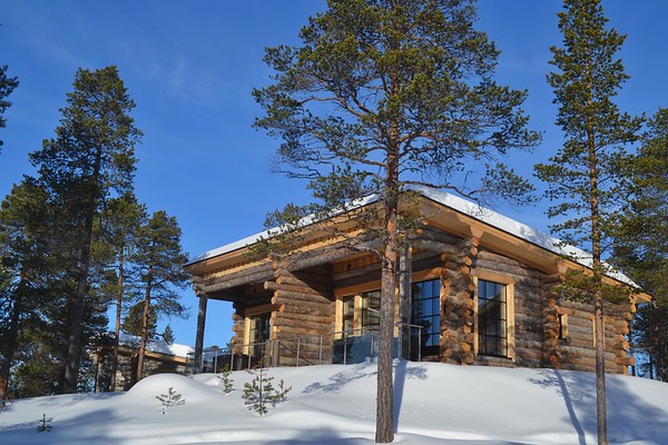 cabin in the forest surrounded by snow
