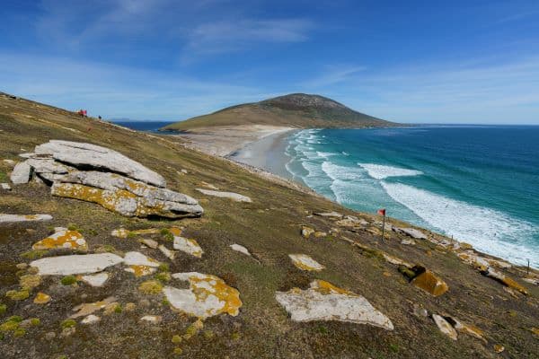 saunders island sea and mountains
