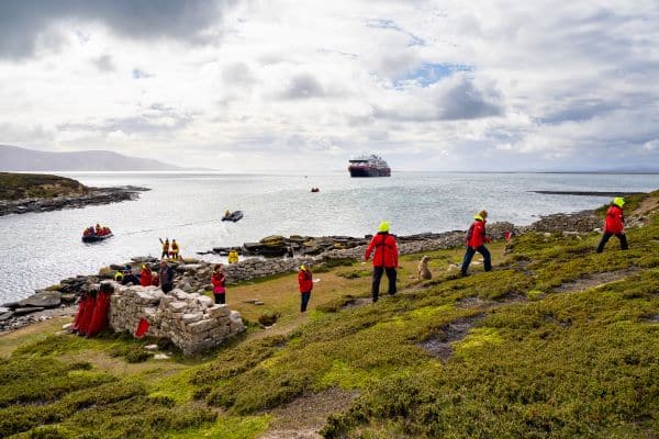 saunders island in the falklands