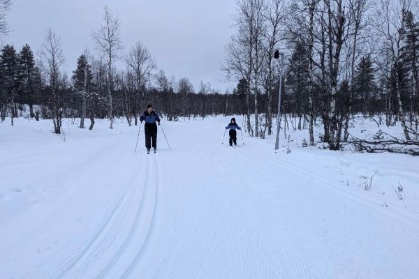 2 people skiing in the snowy forest